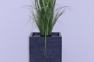 Blumentopf mit Hydrokultur